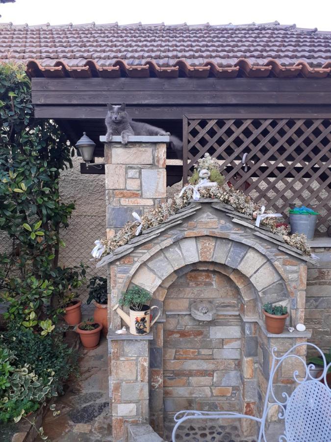Traditional Maisonette In Pelion 볼로스 외부 사진